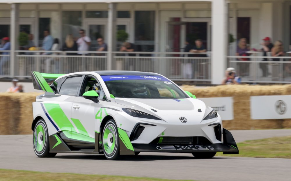 الصورة 3- MG X4