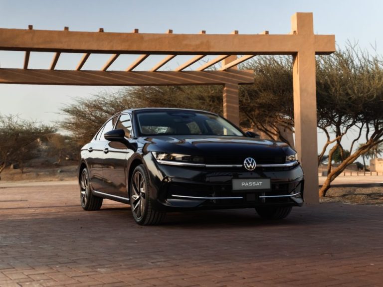 Passat 1